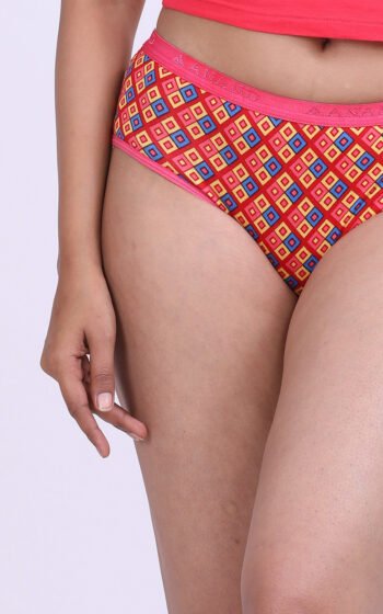 ANAND Paras Printed Multicolors Printed Panties