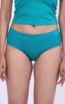 ANAND-Parass-Multicolors-PLAIN-Panties-2.jpg