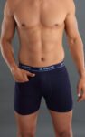 ANAND-Super-Multi-Colour-Pocket-Trunks-5.jpg